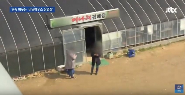 13일 밤 전국적인 유명세를 탄 경주 강동면 비닐하우스 불법영업 미나리 삼겹살. 사진= JTBC 화면 캡처.