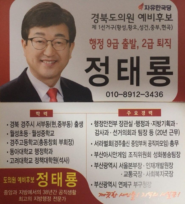 2018년 경북도의원 경주시 1선거구 예비후보 활동당시 정 이장의 약력.
