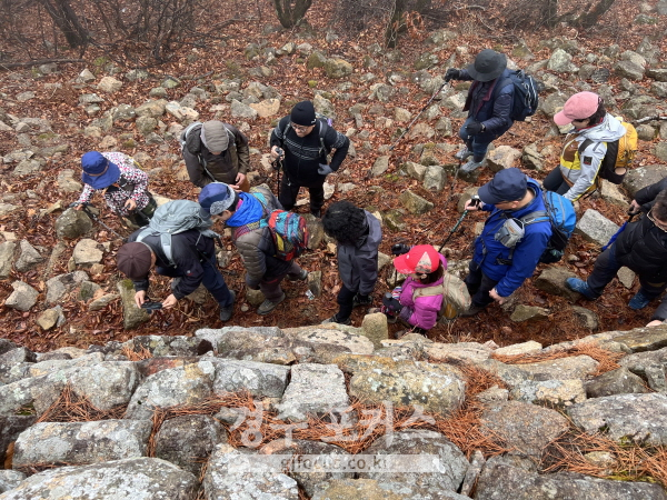 어릴적 소풍때 보물찾기 하듯 글씨가 새겨진 성돌을 찾아보고 있다.